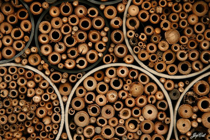 bee insect hotel structure
