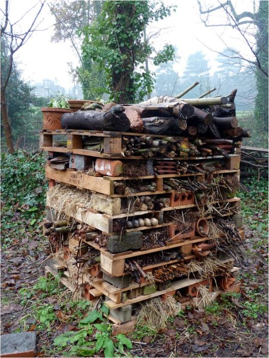 bee insect hotel structure