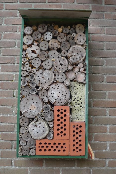 bee insect hotel structure