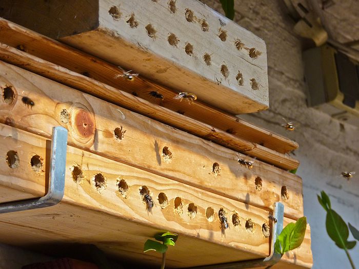 bee insect hotel structure