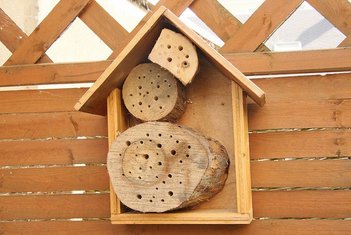 bee insect hotel structure