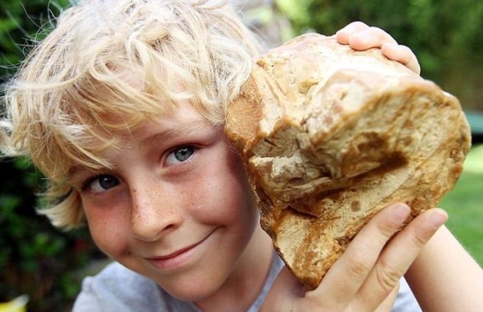 Ambergris, whale vomit