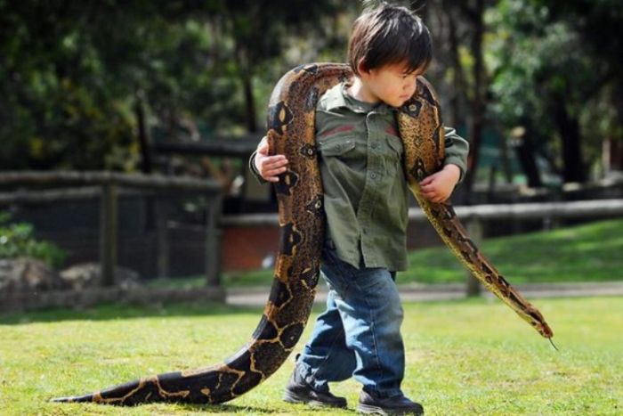 Charlie Parker and Pablo boa constrictor