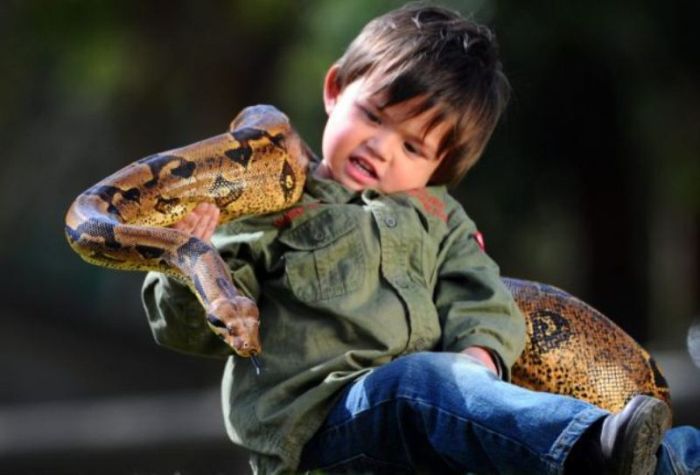 Charlie Parker and Pablo boa constrictor