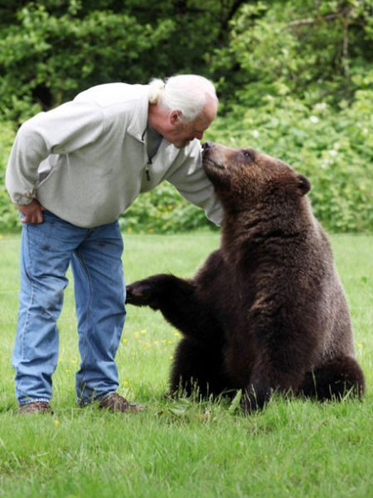 Billy, grizzly bear pet, Vancouver, British Columbia, Canada