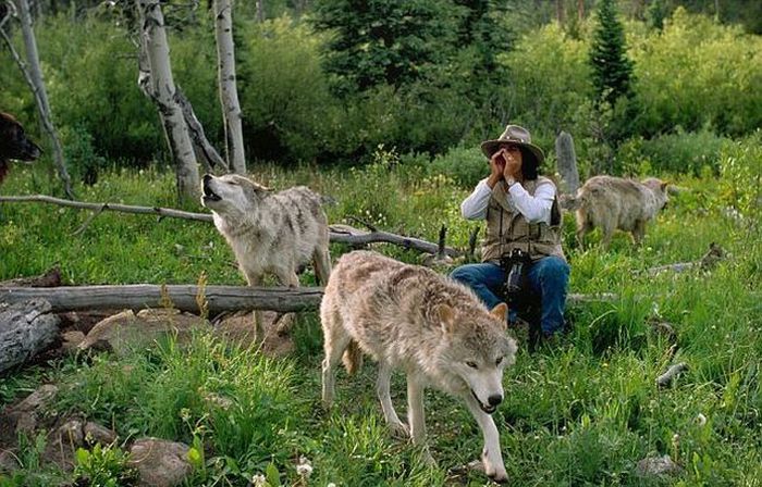 Living with Wolves, Jim and Jamie Dutcher