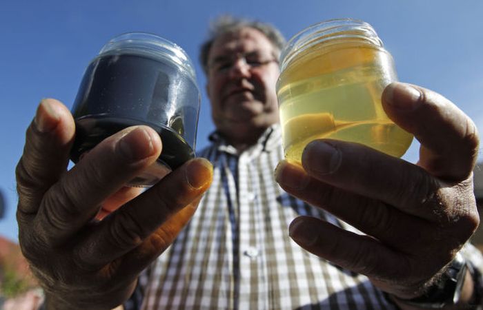 Bees make a different honey, France