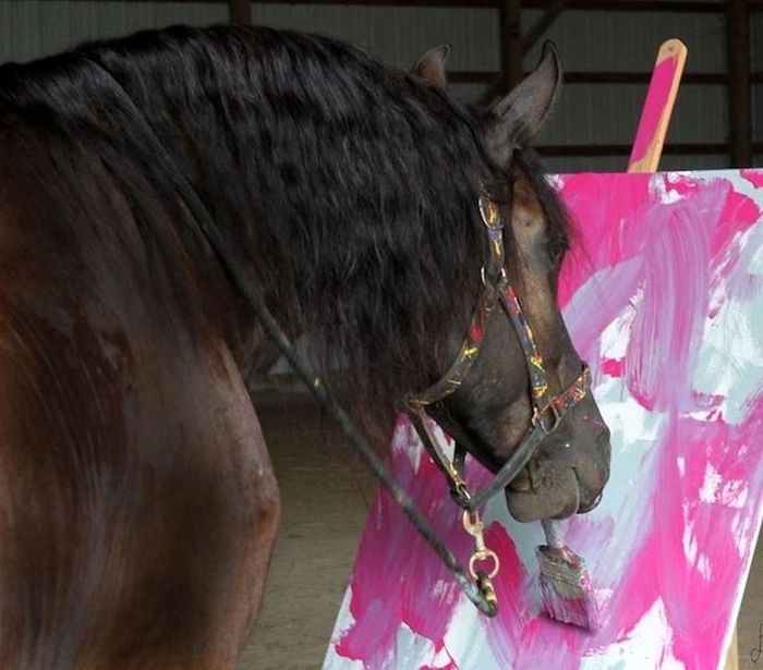 Justin, Friesian horse who paints