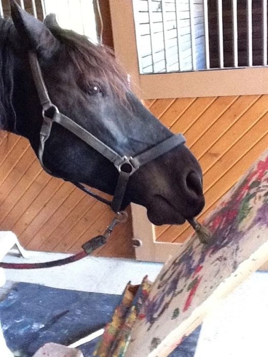 Justin, Friesian horse who paints