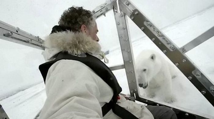 Polar bear attack by Gordon Buchanan