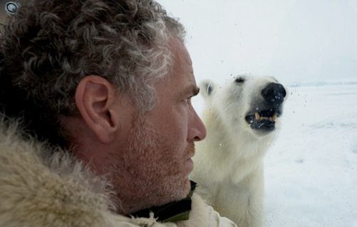 Polar bear attack by Gordon Buchanan