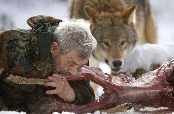 Dining with wolves by Werner Freund