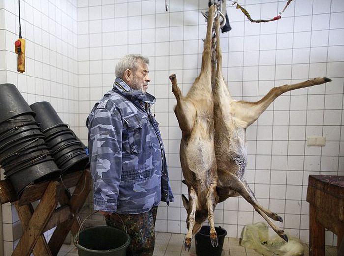 Dining with wolves by Werner Freund