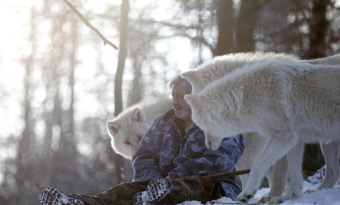 Dining with wolves by Werner Freund