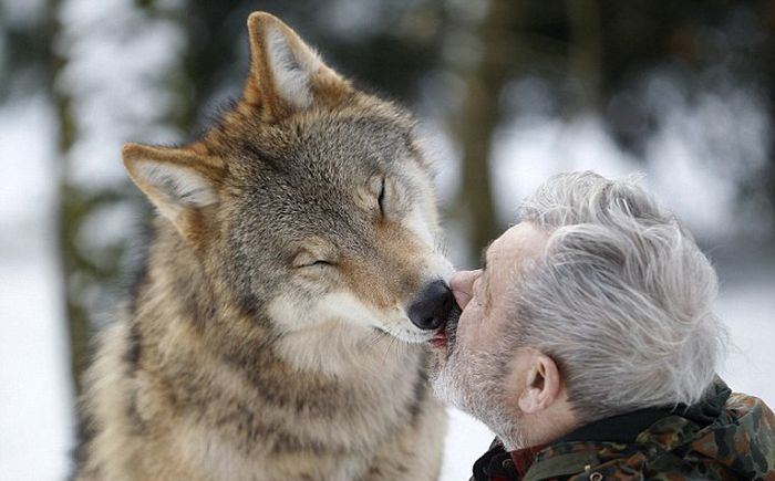 Dining with wolves by Werner Freund