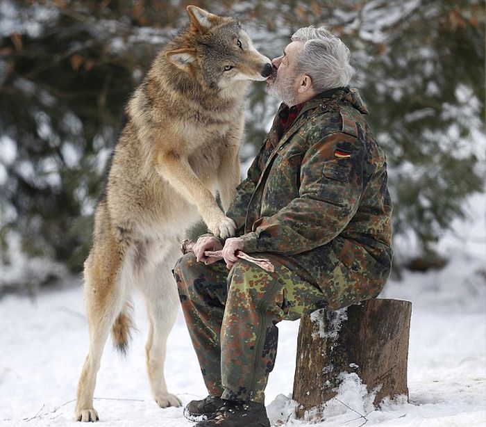 Dining with wolves by Werner Freund