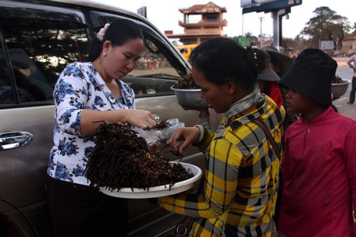 Fried spiders, Skuon, Cambodia