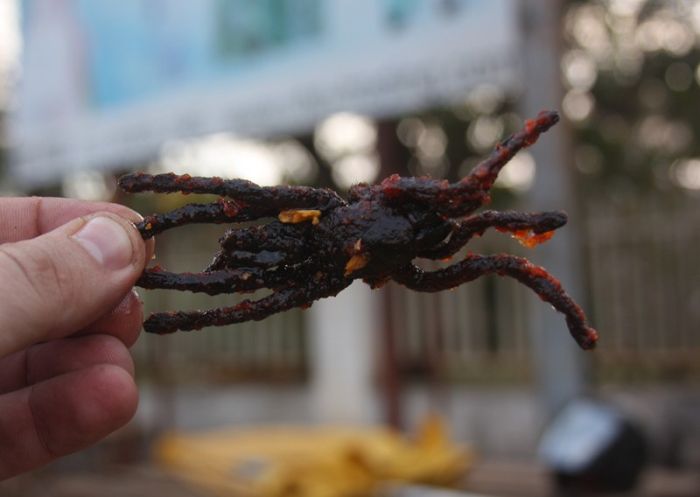 Fried spiders, Skuon, Cambodia