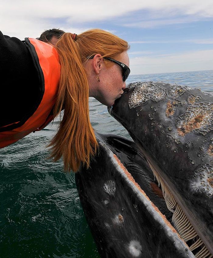 friendly whale