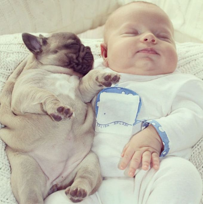 baby with bulldog puppies