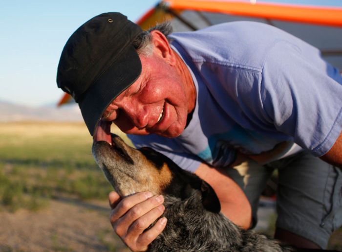 Shadow, the paragliding dog