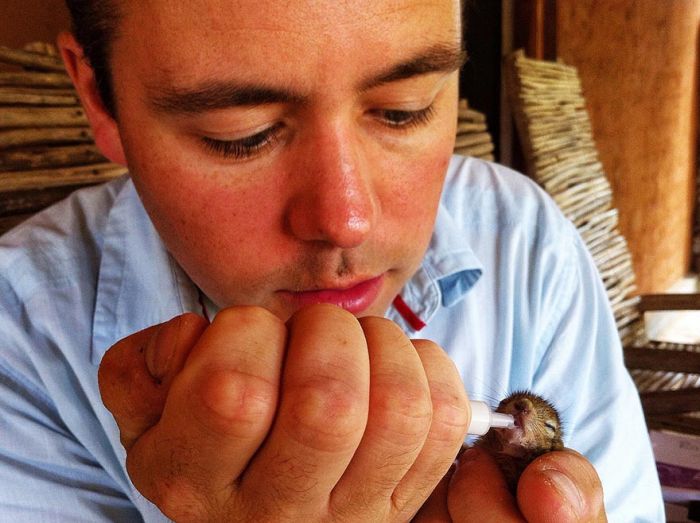 Abandoned baby squirrel rescued by Paul Williams