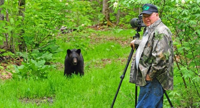 playful bear