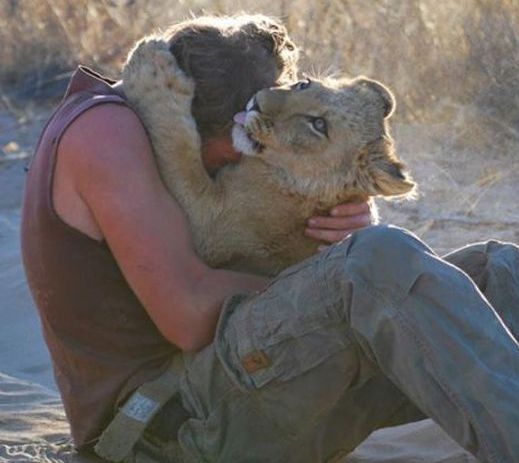 Living with lions by Nicolai Frederik Bonnén Rossen, Kalahari desert of Botswana