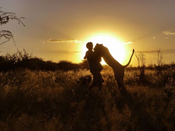 Living with lions by Nicolai Frederik Bonnén Rossen, Kalahari desert of Botswana