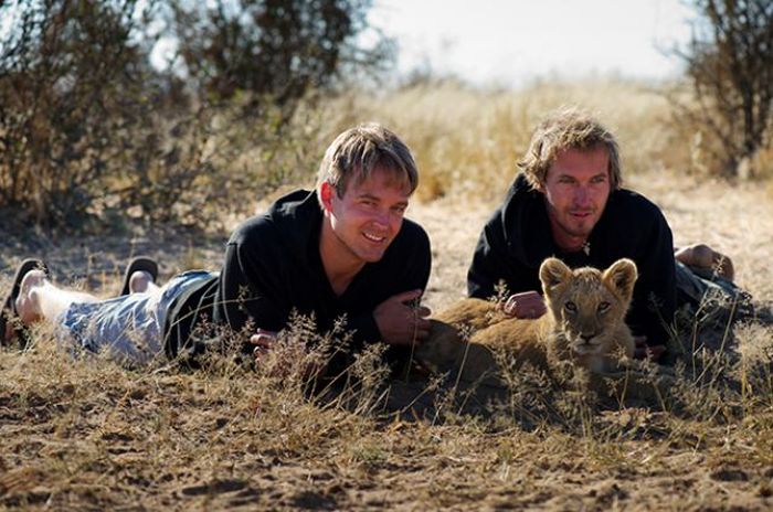 Living with lions by Nicolai Frederik Bonnén Rossen, Kalahari desert of Botswana