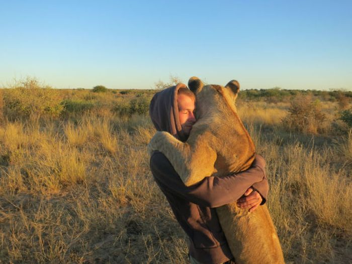 Living with lions by Nicolai Frederik Bonnén Rossen, Kalahari desert of Botswana