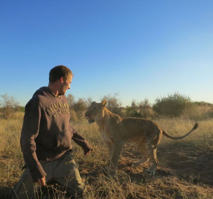 Living with lions by Nicolai Frederik Bonnén Rossen, Kalahari desert of Botswana