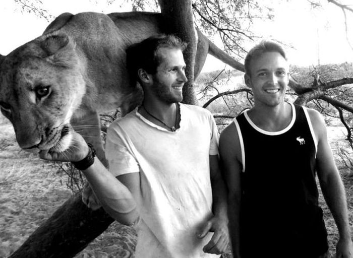 Living with lions by Nicolai Frederik Bonnén Rossen, Kalahari desert of Botswana