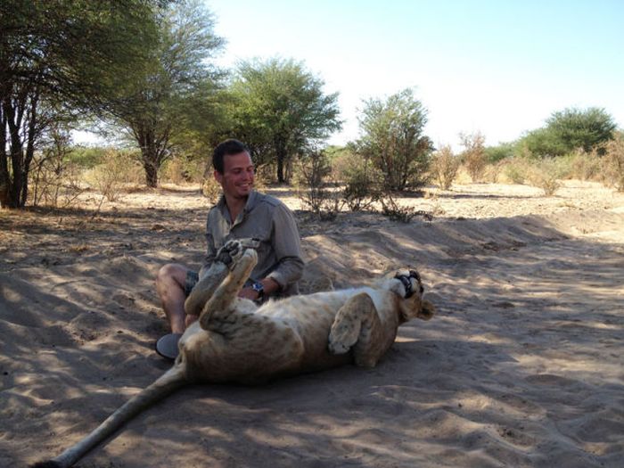 Living with lions by Nicolai Frederik Bonnén Rossen, Kalahari desert of Botswana