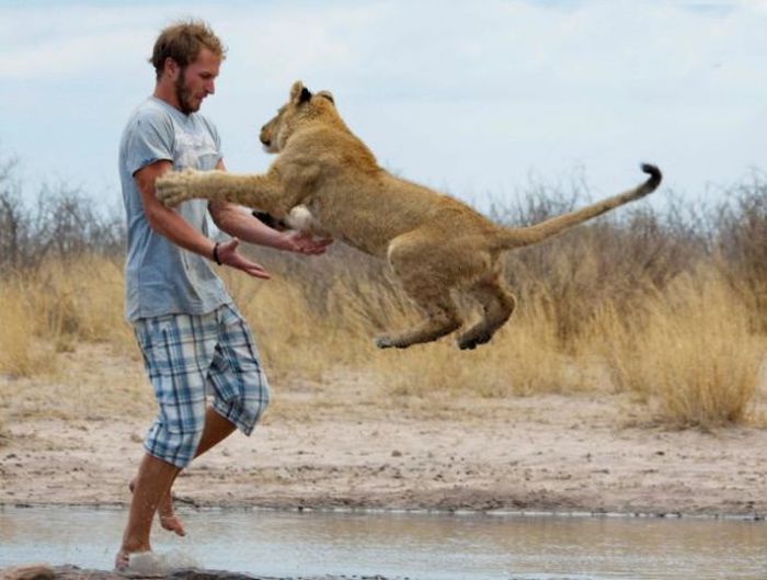 Living with lions by Nicolai Frederik Bonnén Rossen, Kalahari desert of Botswana