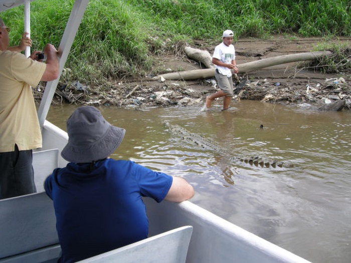 Crocodile river adventure, Tarcoles River, Tarcoles, Costa Rica