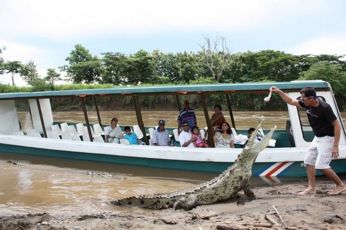 Crocodile river adventure, Tarcoles River, Tarcoles, Costa Rica