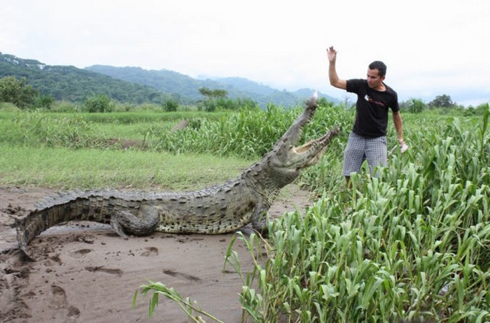 Crocodile river adventure, Tarcoles River, Tarcoles, Costa Rica