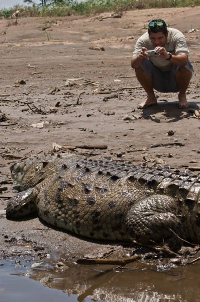 Crocodile river adventure, Tarcoles River, Tarcoles, Costa Rica