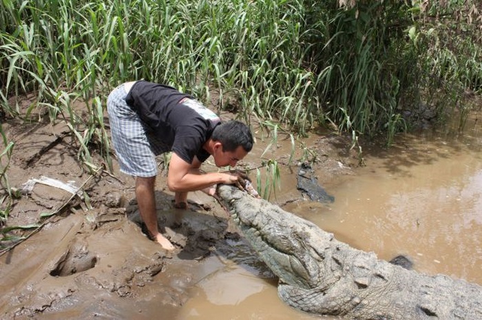 Crocodile river adventure, Tarcoles River, Tarcoles, Costa Rica