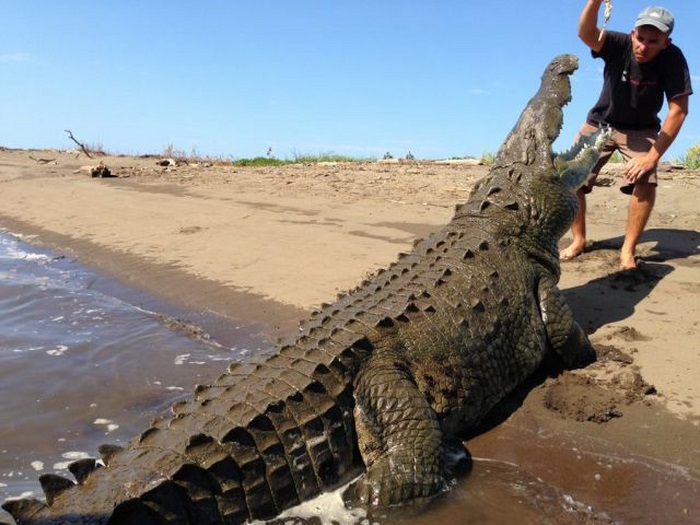 Crocodile river adventure, Tarcoles River, Tarcoles, Costa Rica