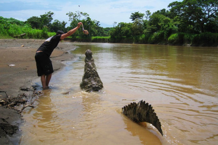 Crocodile river adventure, Tarcoles River, Tarcoles, Costa Rica