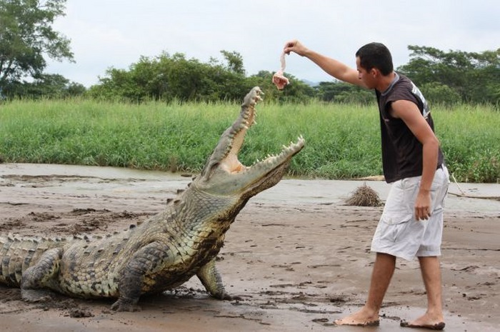 Crocodile river adventure, Tarcoles River, Tarcoles, Costa Rica