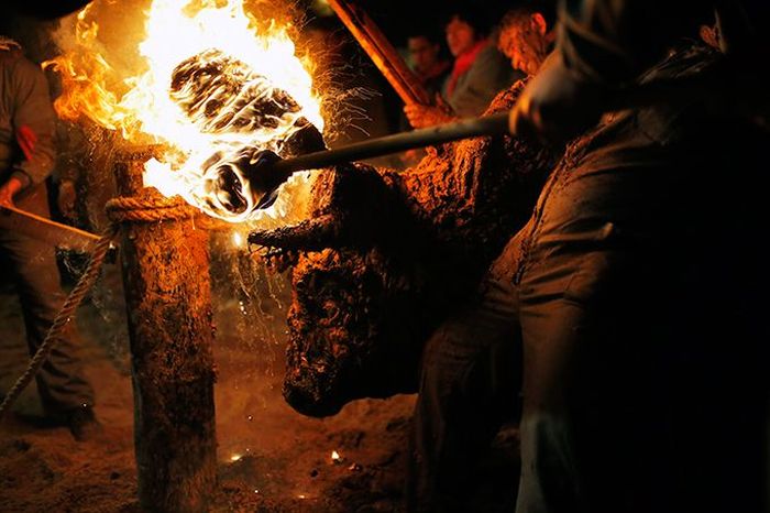 Toro Jubilo, Toro de fuego, Medinaceli, Spain