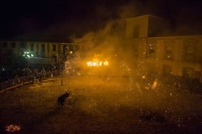 Toro Jubilo, Toro de fuego, Medinaceli, Spain