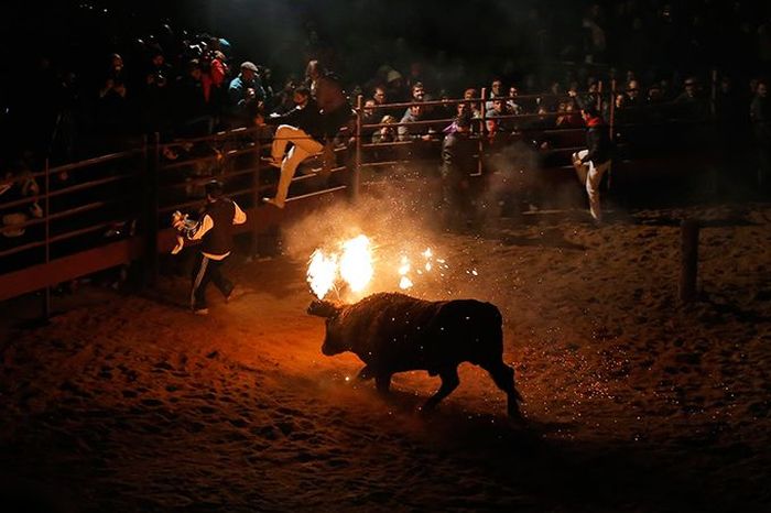 Toro Jubilo, Toro de fuego, Medinaceli, Spain