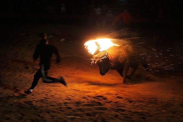 Toro Jubilo, Toro de fuego, Medinaceli, Spain