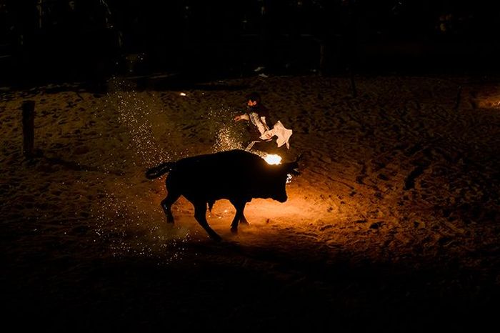 Toro Jubilo, Toro de fuego, Medinaceli, Spain