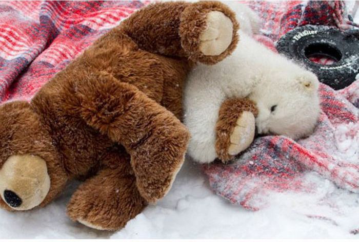 polar bear cub with a teddy bear