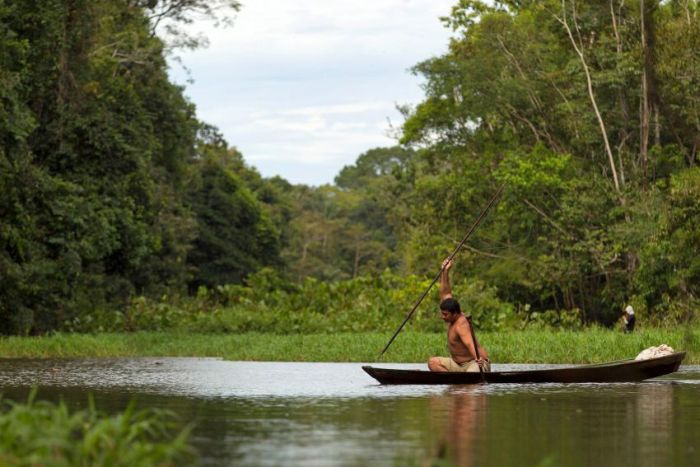 Arapaima fishing, Amazon River, Brazil